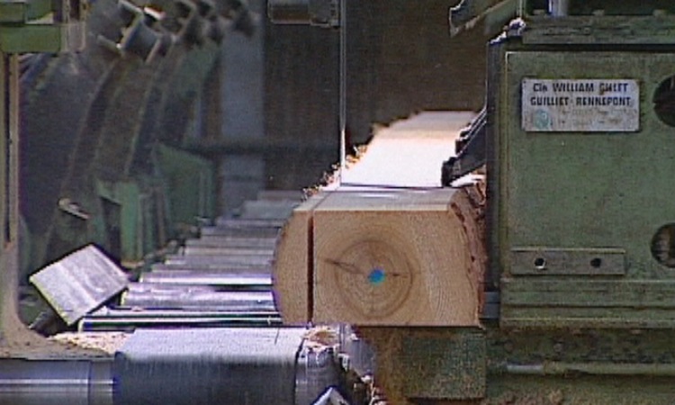 L'industrie du bois - Le sciage des grumes - 5 mn 20s